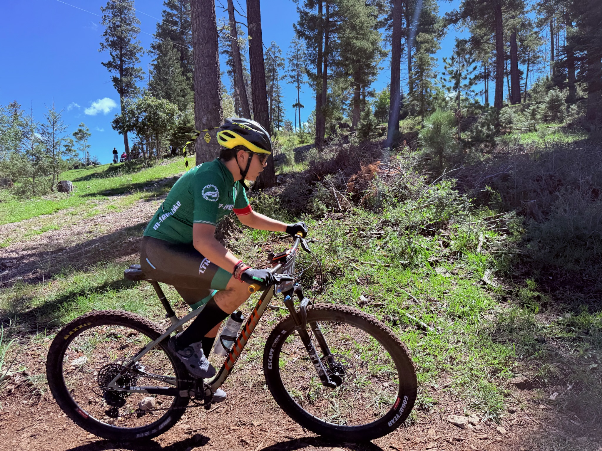 Mountain biking singletrack near Cloudcroft