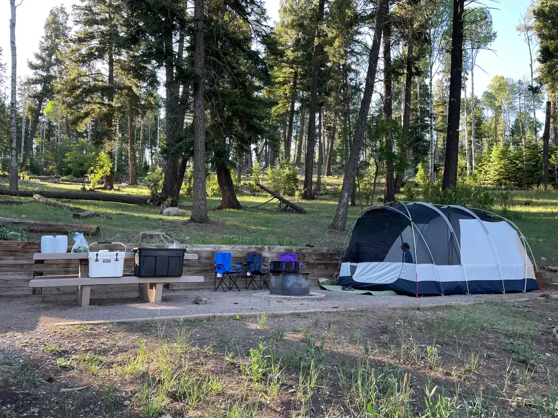 Developed campground with picnic table beneath tall ponderosa pines near Cloudcroft