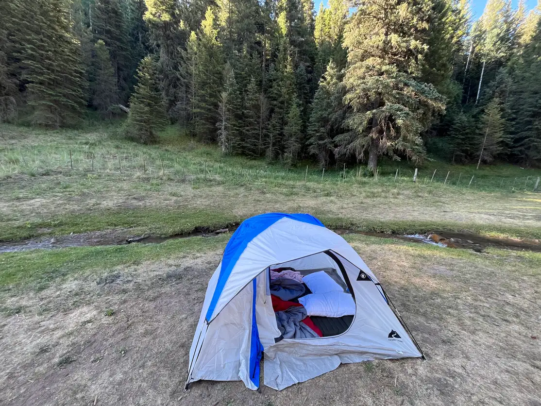 Small dome tent pitched on a meadow beside a stream with spruce and fir forest behind it