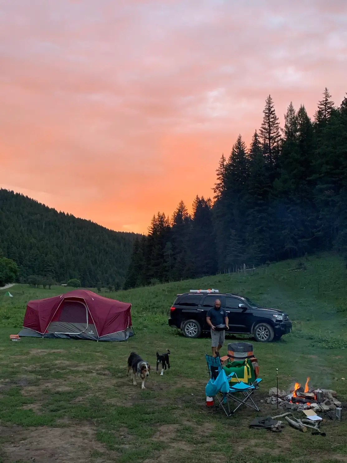 Campsite at sunset with tent, SUV, campfire, and dogs on a green mountain meadow surrounded by pines