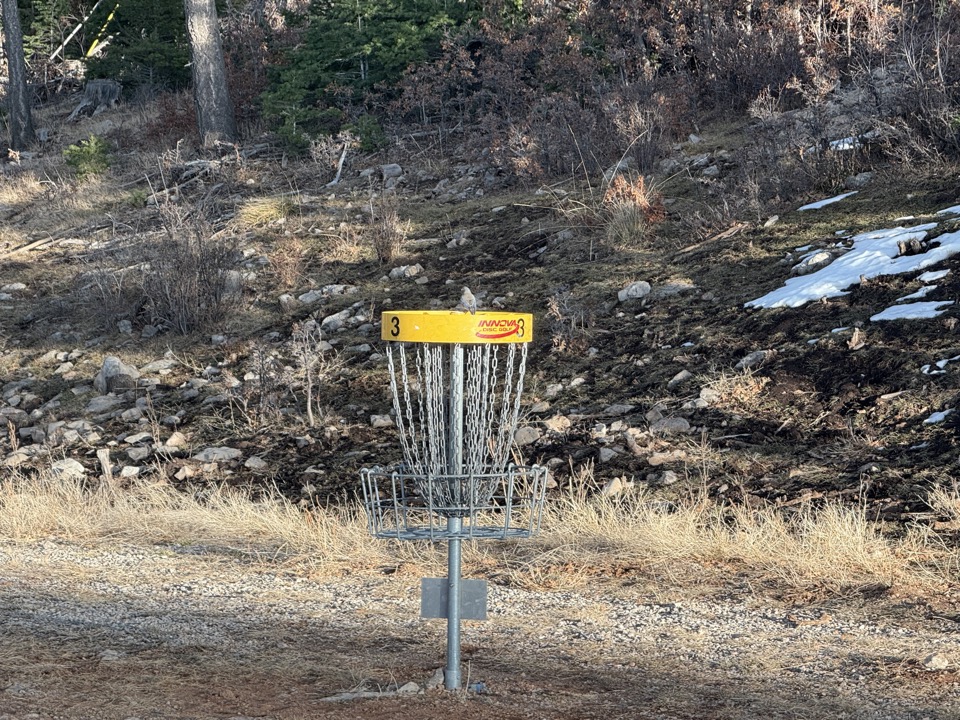 Disc golf basket on a wooded Cloudcroft course