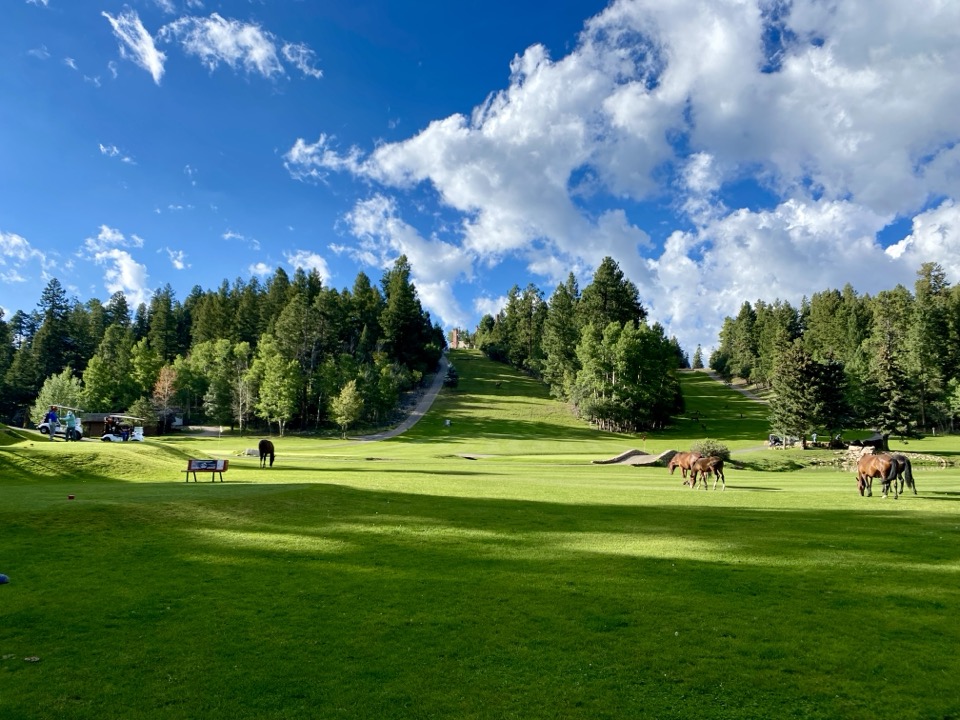 Horses grazing on The Lodge Golf Course in Cloudcroft