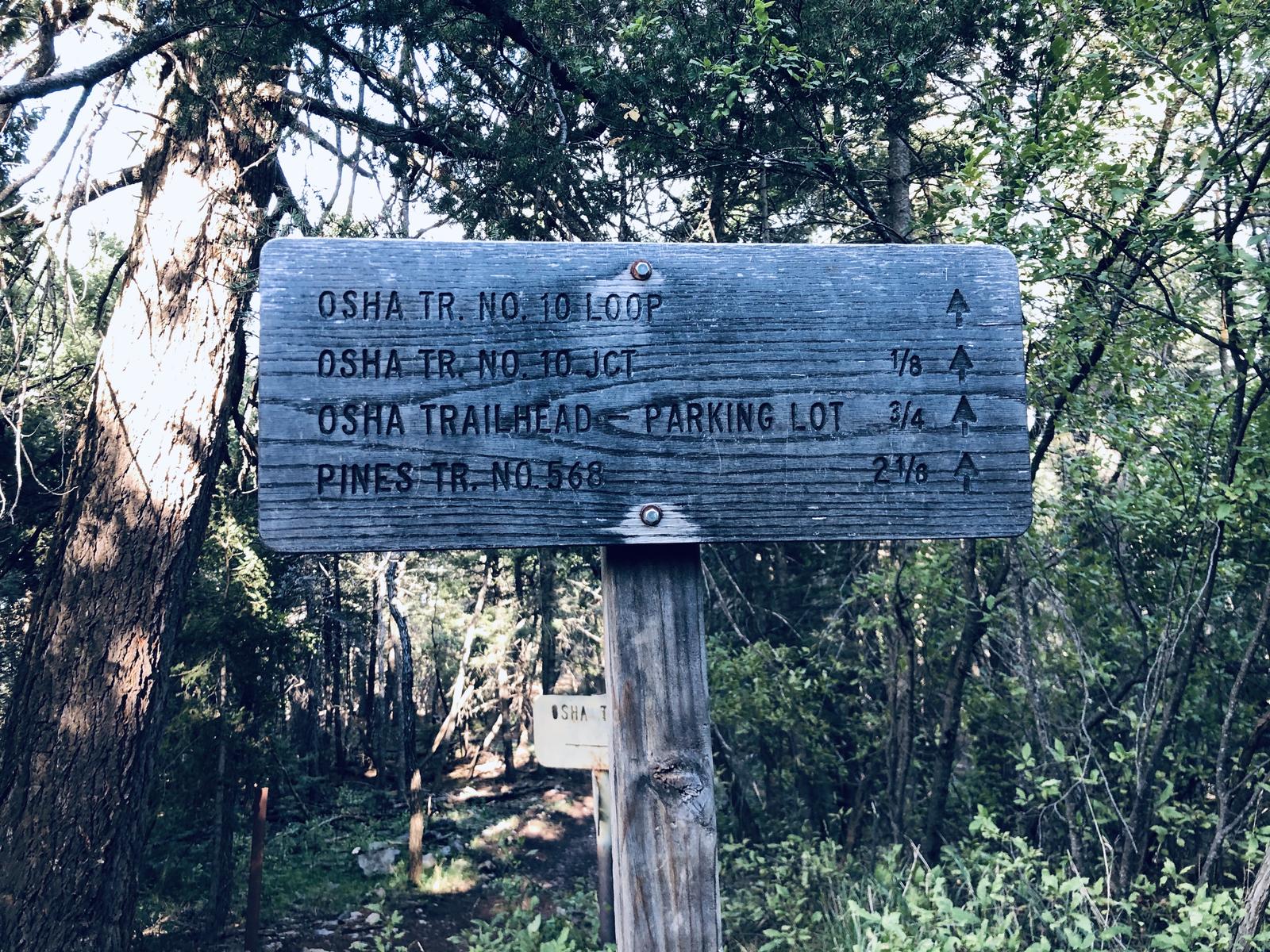 Weathered wooden Forest Service sign showing Osha Trail loop, junction, trailhead parking, and Pines Trail distances