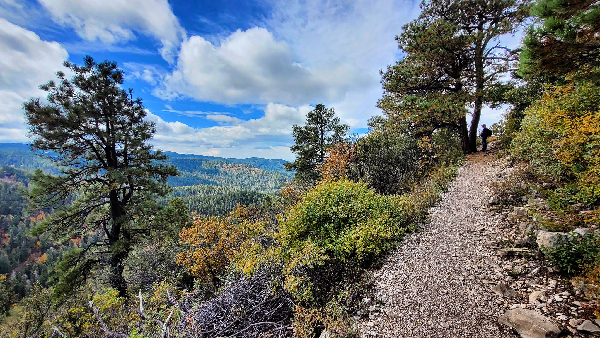 Narrow ridgeline trail with fall foliage and expansive basin views through pine and oak trees