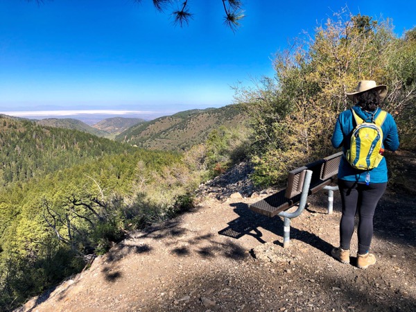 Hiking trail through the Lincoln National Forest near Cloudcroft