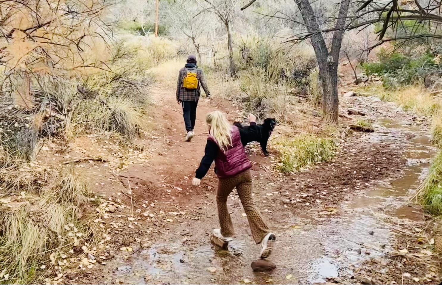 Forest Service trailhead parking area with log barriers and bare early-spring trees