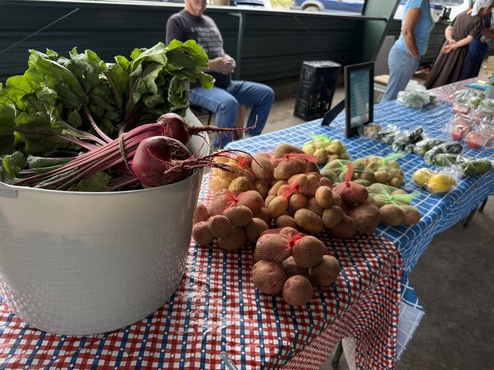Fresh beets with greens in a tub beside mesh bags of red and gold potatoes on checkered tablecloths at the Cloudcroft Farmers Market