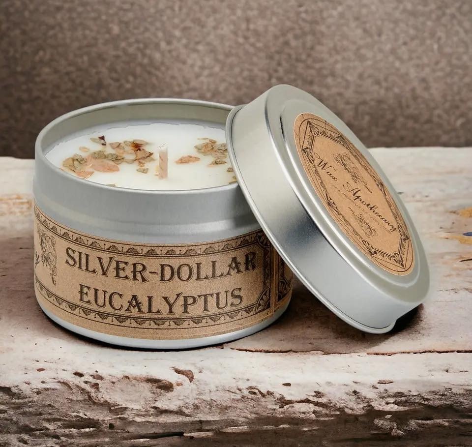 Wax Apothecary Silver-Dollar Eucalyptus soy candle tin on distressed wood