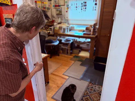 Owner peering through the studio doorway at a black cat sitting in the back room